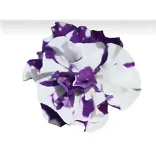 №1393 Петуния Sweet Sunshine Blue Sky