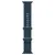 Apple Watch Ultra 2 49mm GPS+Cellular Titanium Case with Blue Ocean Band