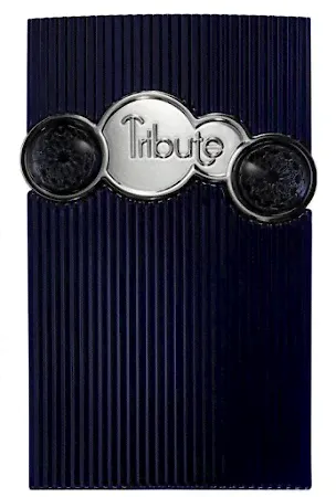 AFNAN TRIBUTE BLUE HARDBOX парфюмерная вода (мужские) 100ml-0