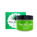 Успокаивающий крем для лица с алоэ Jigott Aloe Water Blue Cream