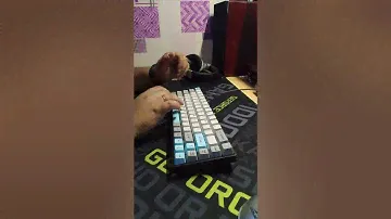 Akko 3068 typing (cherry brown)