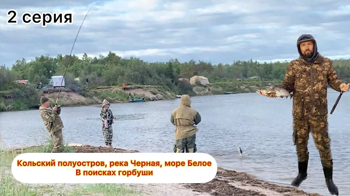 Кольский полуостров, море Белое, река Черная. В поисках горбуши. 2 серия
