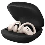 Беспроводные наушники Beats Powerbeats Pro, Blue
