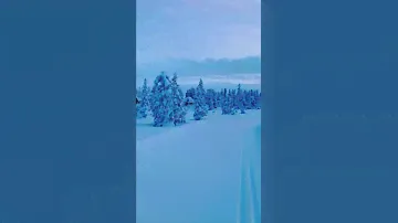 So Cool Heavy Snow Falling look like a Blue Ocean