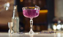 Отзывы о Джин Barrister Blue 40% 0.7л