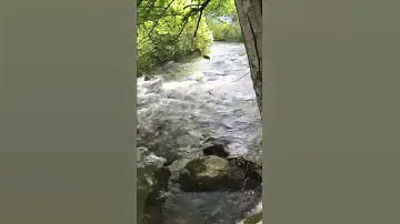 Cool River Dreams