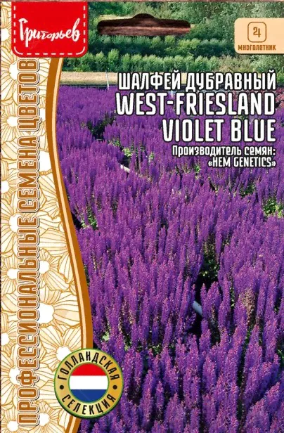 Шалфей дубравный West-Friesland Violet Blue 5 шт