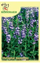 Вероника большая Royal Blue (Veronica teucrium)