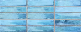 Smart Blue 20x50
